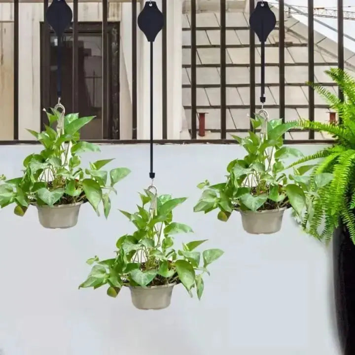 Stylish hanging plant holder system featuring durable, adjustable ropes and sleek metal hooks. Perfect for indoor gardening, it showcases a modern design in a natural color 5